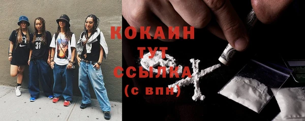 гидра Белокуриха