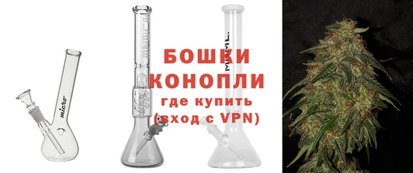 прущие грибы Белоозёрский