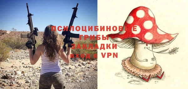 гидра Белокуриха