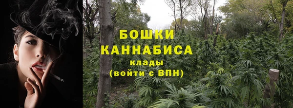 PSILOCYBIN Заводоуковск