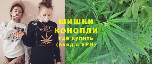 гидра Белокуриха
