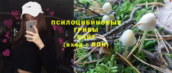 гидра Белокуриха