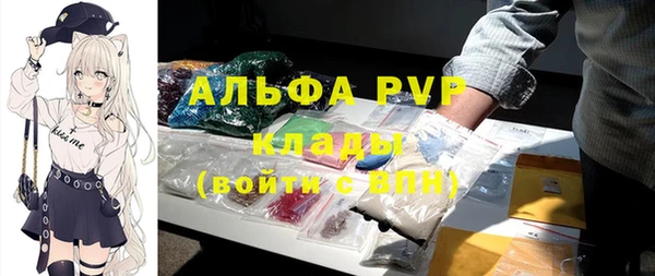 прущие грибы Белоозёрский