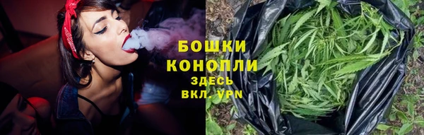 прущие грибы Белоозёрский