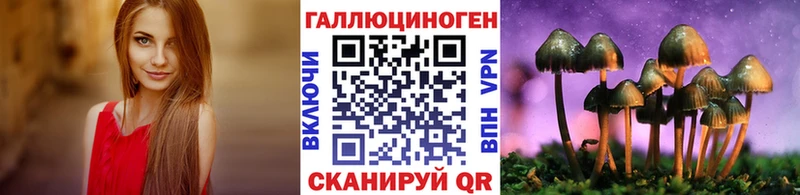 Галлюциногенные грибы GOLDEN TEACHER  продажа наркотиков  Бокситогорск 